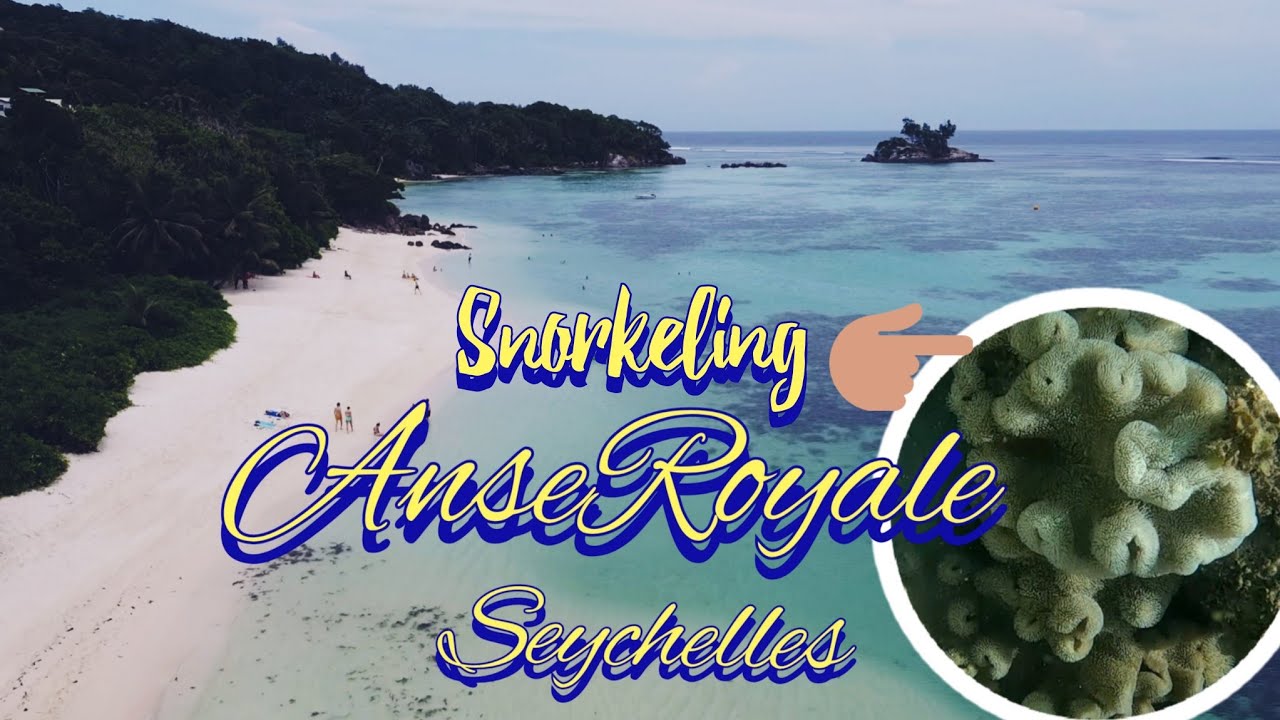 Anse Royale, Seychelles,best place for Snorkeling,Vlog.