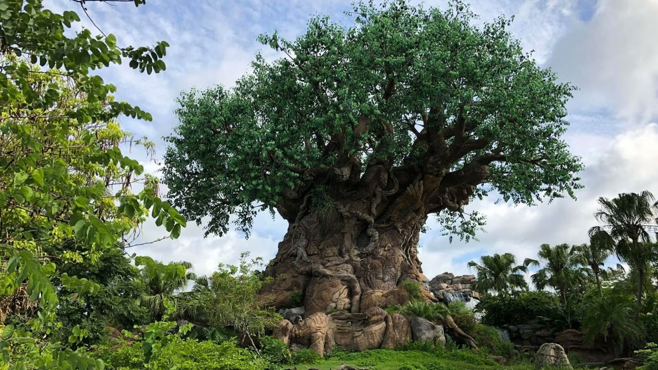 Disney's Animal Kingdom Discovery Island Area Loop