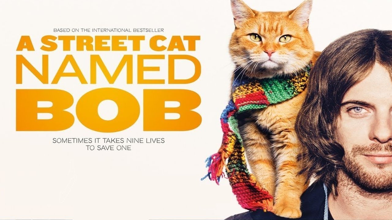 Street Cat named Bob - Wake me up when september ends