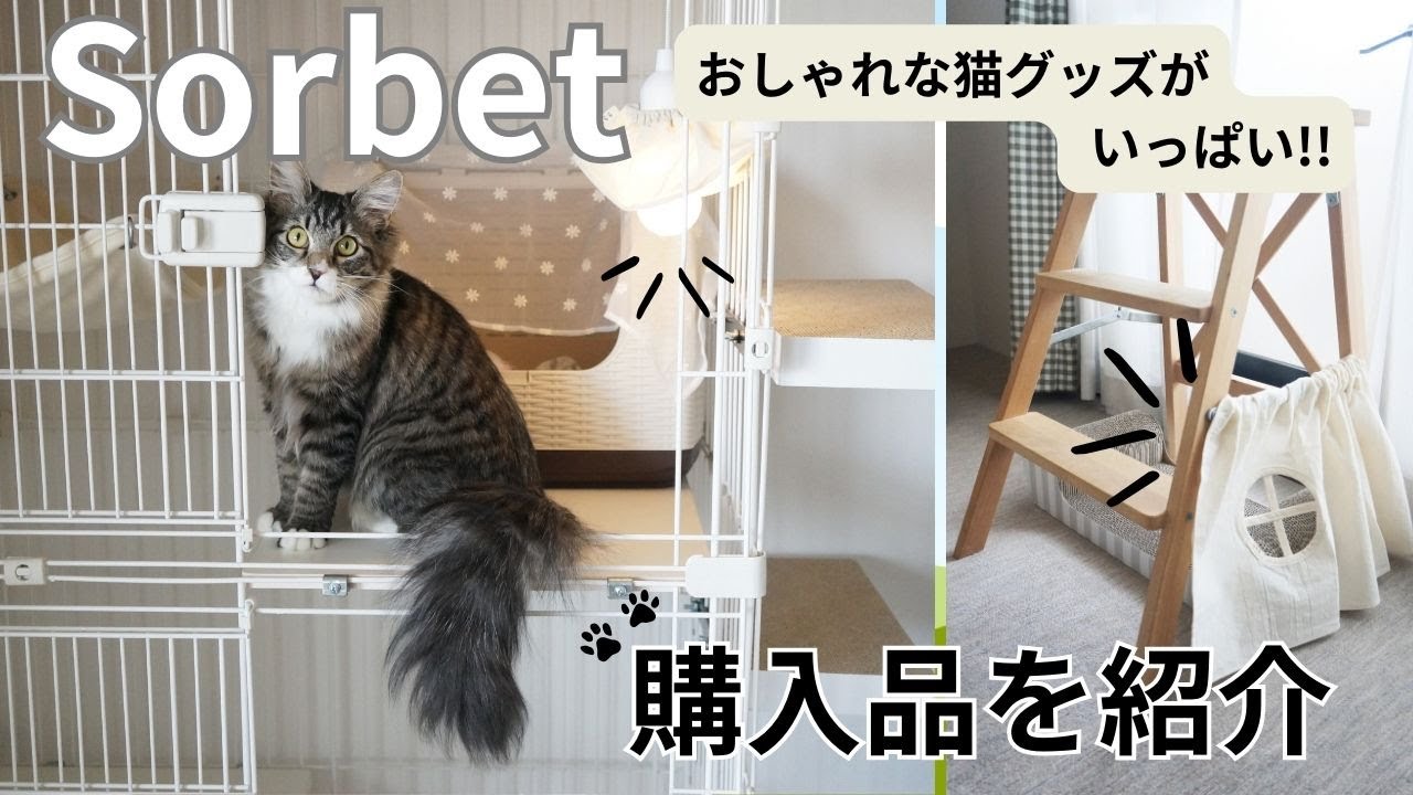 おしゃれな猫グッズならSorbetがおすすめ！吊り下げランプ・かくれんぼカーテンを買いました。　#91