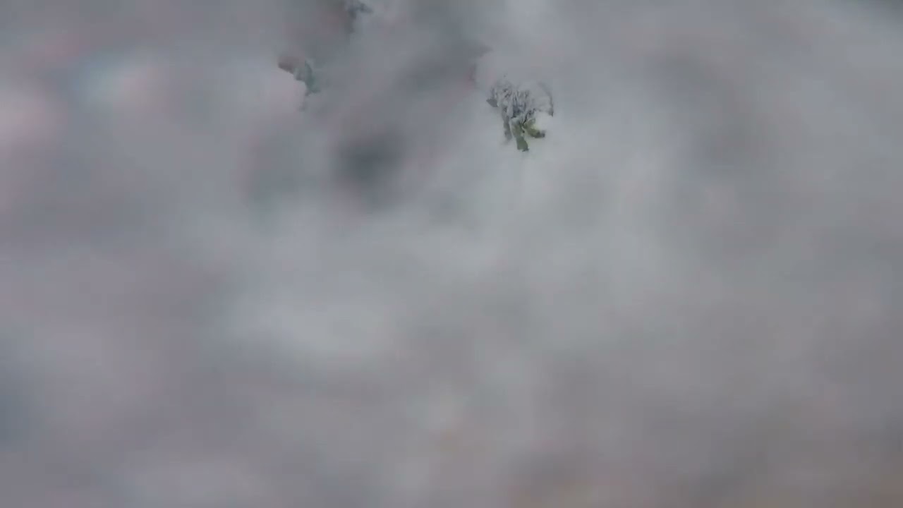 The dangers of Tree Wells in deep powder