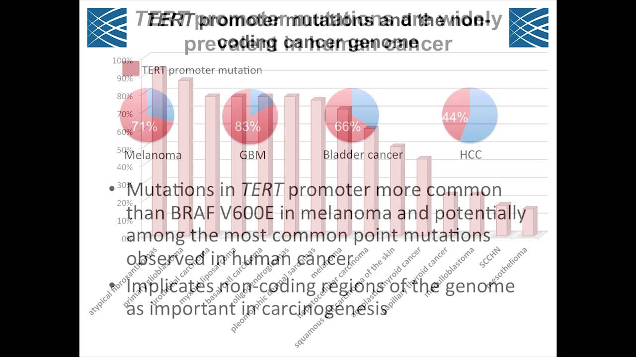 TERT Promoter Mutations in Cancer