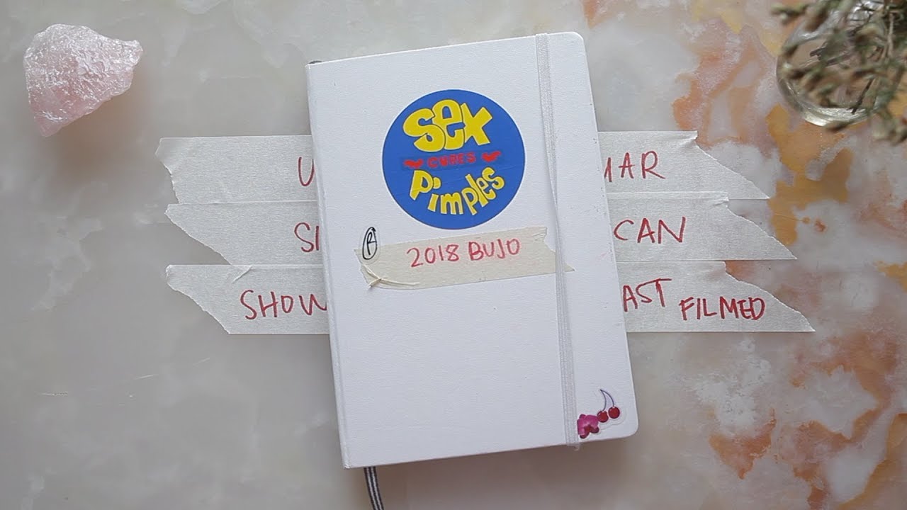 BUJO:  2017 TO 2018 FLIP THROUGH & SET UP