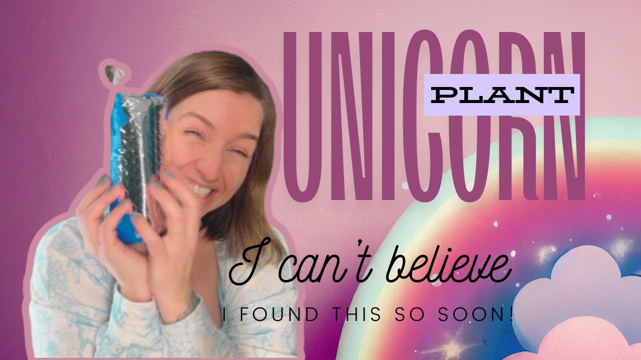 Hoya Unicorn Unboxing