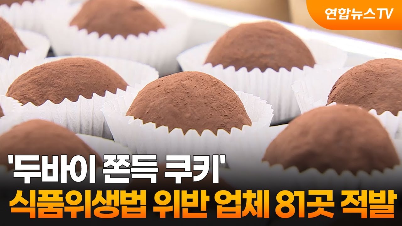 '두쫀쿠' 식품위생법 위반 업체 81곳 적발 / 연합뉴스TV (YonhapnewsTV)