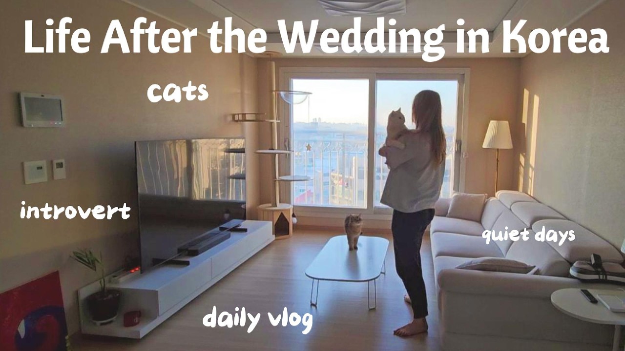 Life In Korea after Marriage | Cozy days with cats, introvert | 결혼 후 한국에서의 소소한 일상 | 고양이와 함께하는 조용한 하루