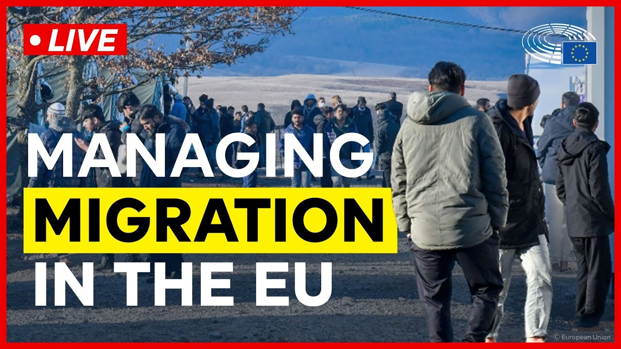 New EU rules on migration and asylum: application and the way forward