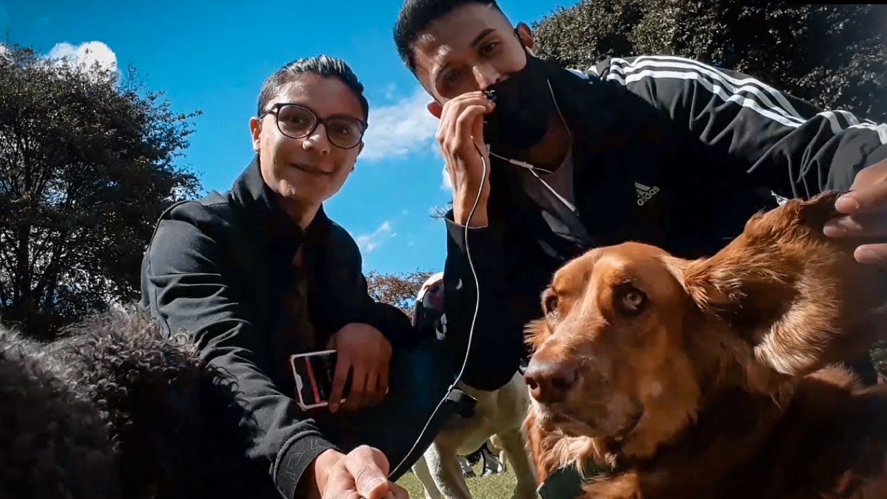 🐶 Pasé un día con un PASEADOR DE PERROS🔥🦴
