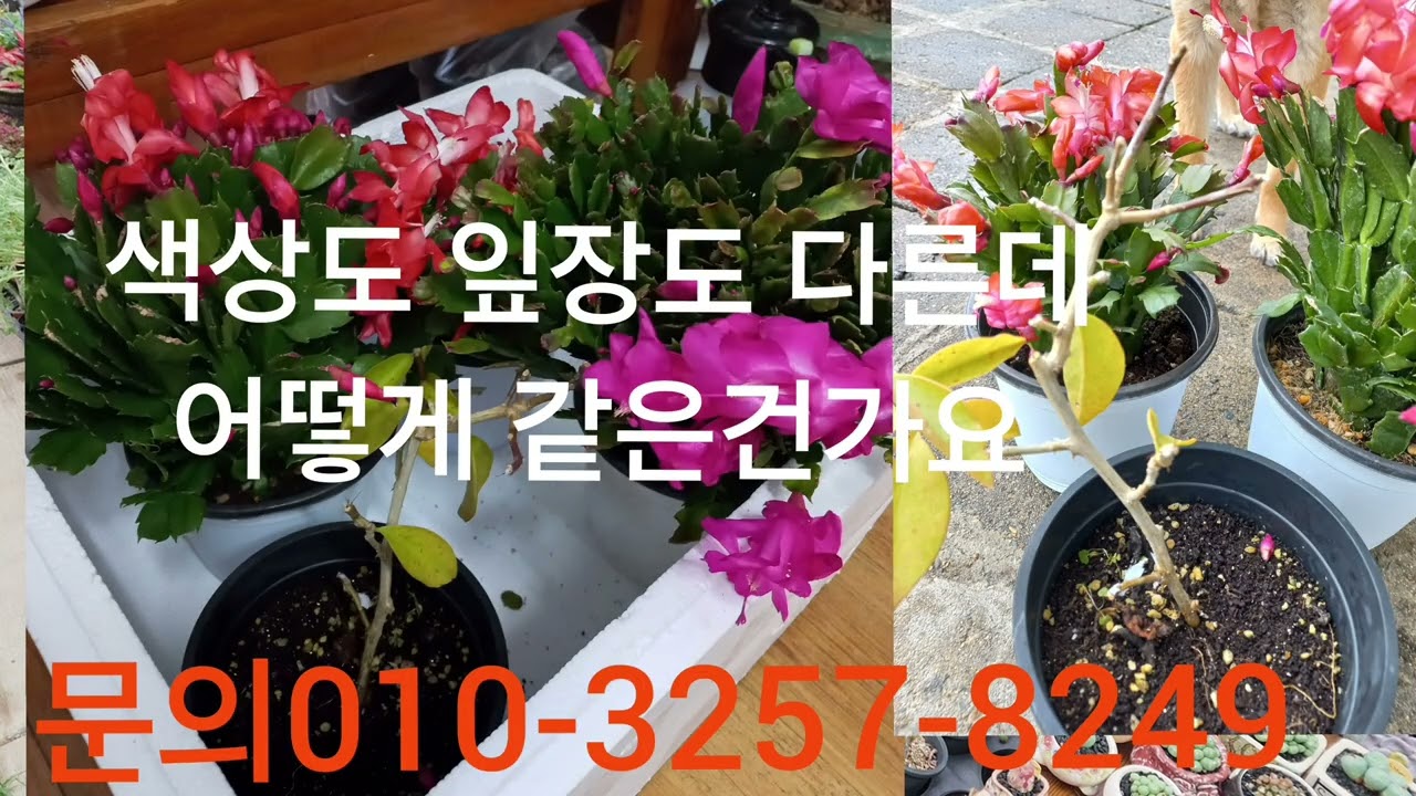 이게 뭐라예. 장사하는 사람도 사람입니다.제발 기본은 지키면서 살자고예. 이게 말이 됩니까?