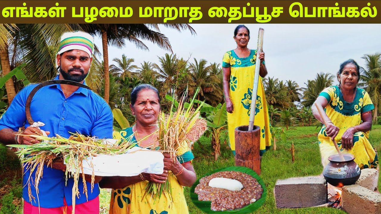கொட்டும் மழையிலும்  தைப்பூச புதிர் எடுக்கும் நிகழ்வு  l our village life 💚 vanni bro 