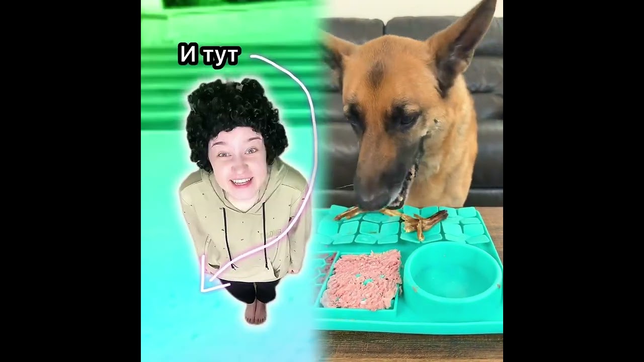 🤣👌👌👌2026 pov Must-Watch Crazy Clips Compilation #humor #fypシ #pov #fyp #foryou 😍😜