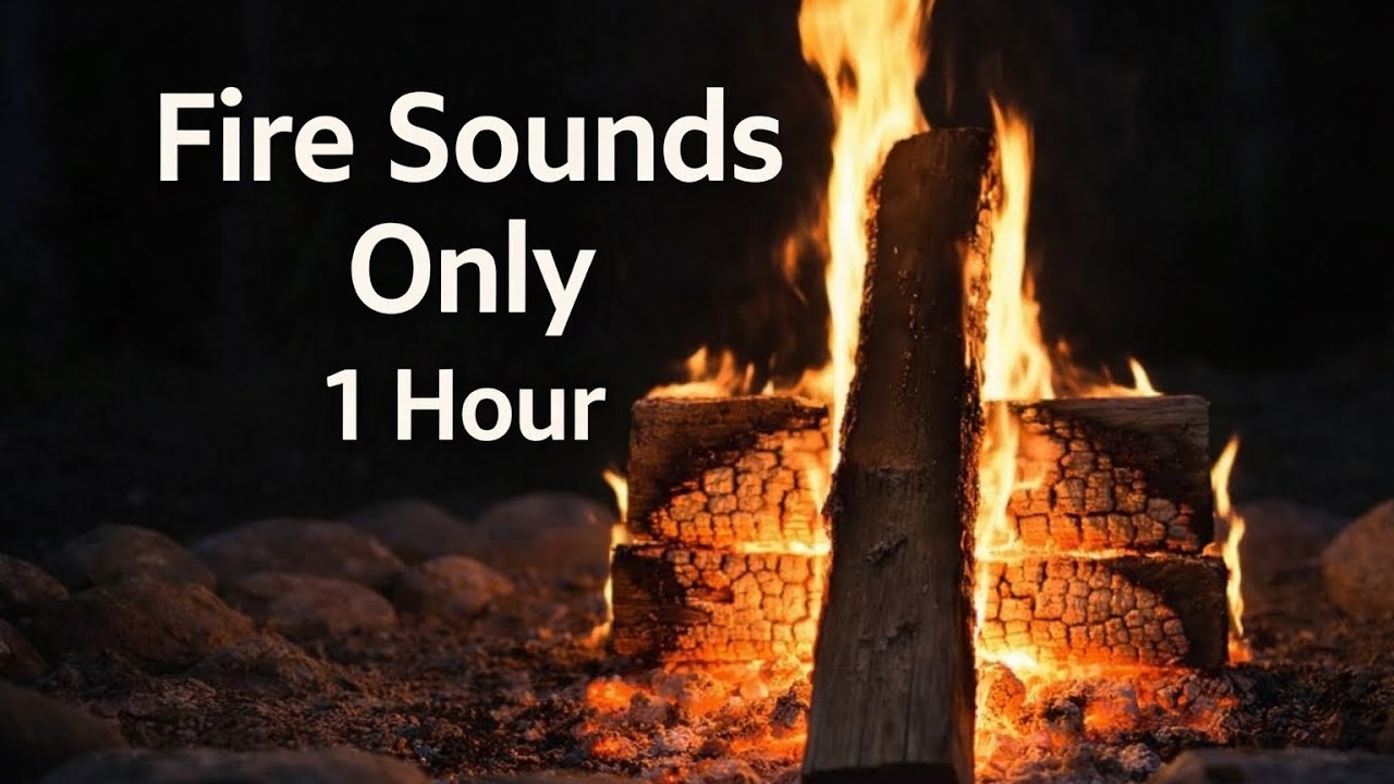 Bonfire Sounds Only (1 Hour) 🔥 Relaxation, Stress Relief, Deep Sleep | ASMR Nature Sounds