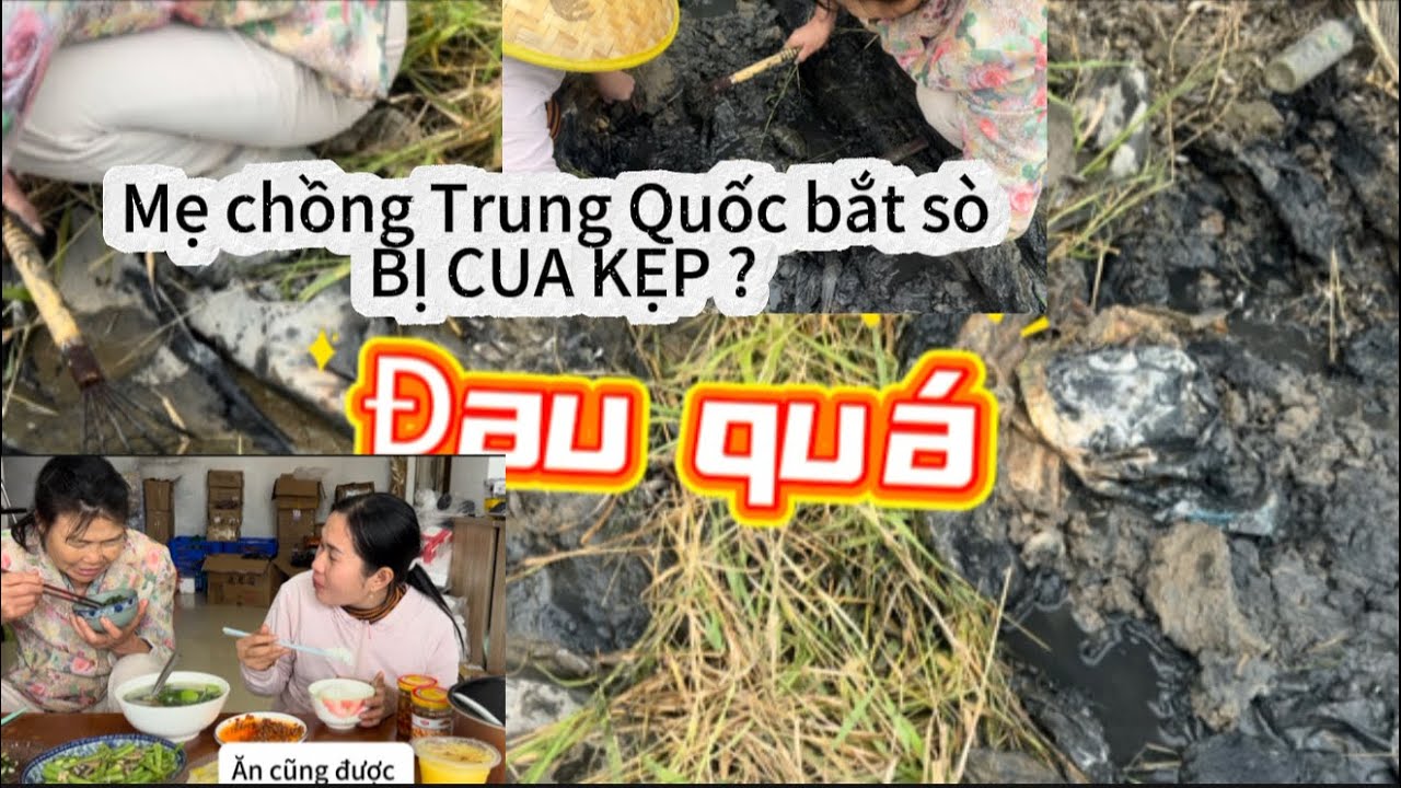 Mẹ chồng Trung Quốc hào hứng LỘI SÌNH đi bắt sò cùng dâu Việt để có bữa trưa NGON TUYỆT