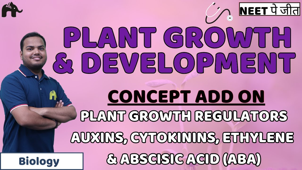 Plant Growth And Development Class 11 NEET Concept Add On- Plant Growth Regulators  | Biology