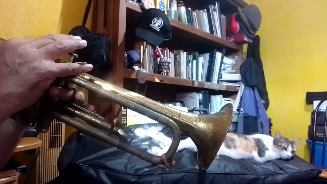 24 de febrero de 2026