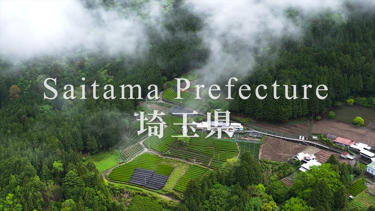 Tea Regions of Japan – Saitama Part 1 (Overview) 狭山茶の概要