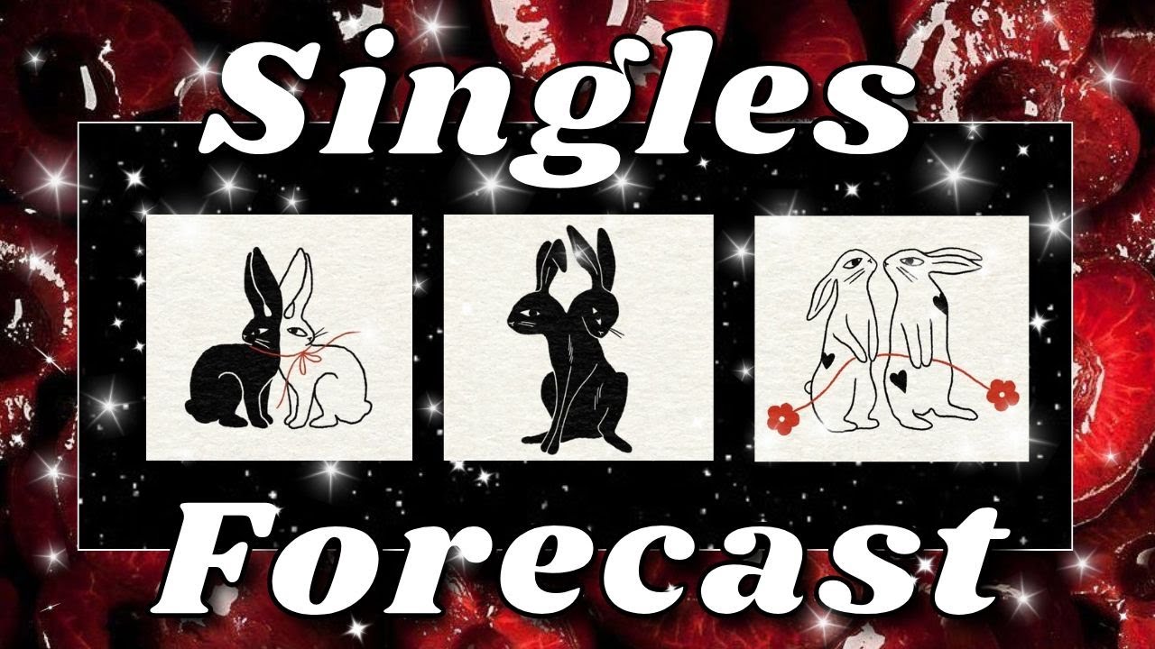 SINGLES 💕 What Can You Expect ❣️ Pick A Card 🔮
