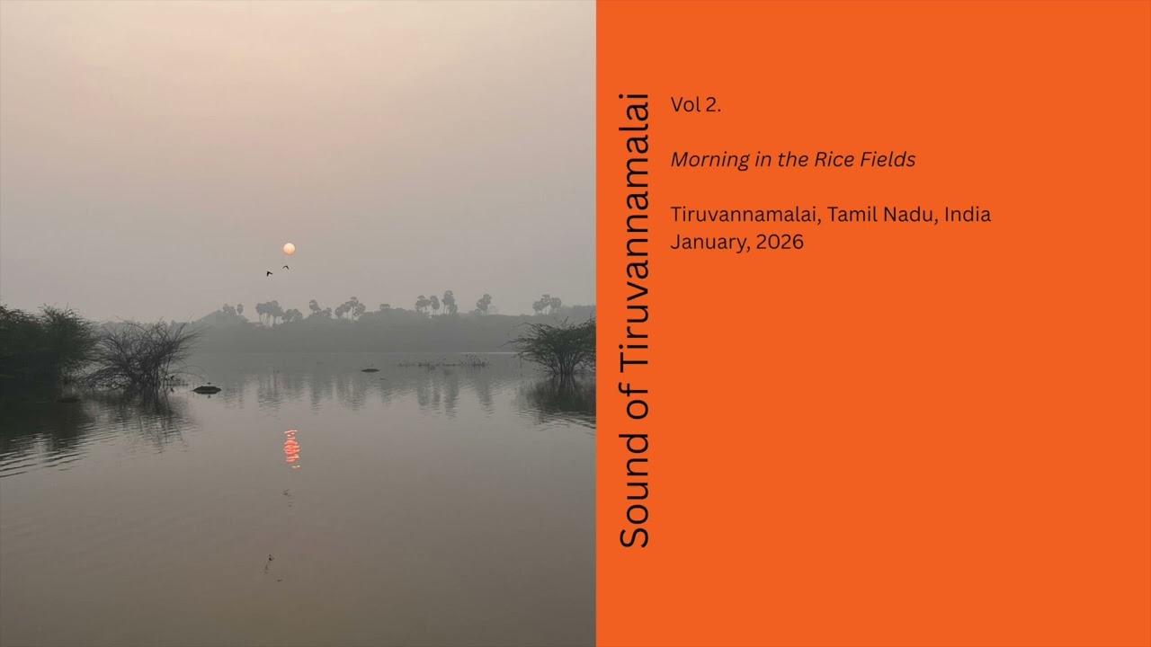 Sounds Of Tiruvannamalai Vol  2