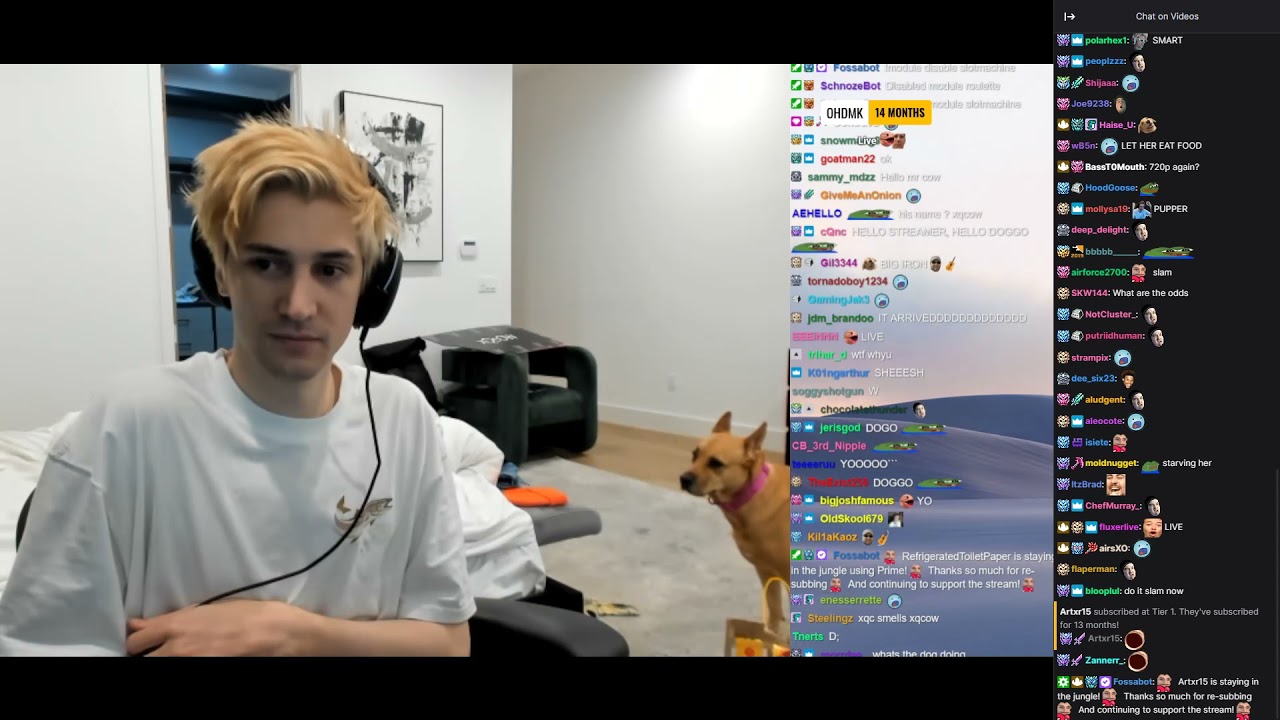 xQc's fart smelled so bad the dog had to leave