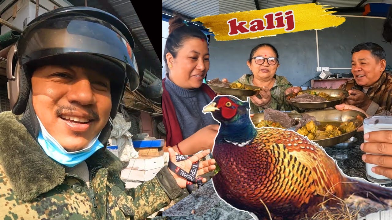 Aaja vane Mitho kalij ko Jhol vayo |  Gharma  Aama Baba sita Kalij ra Dhido