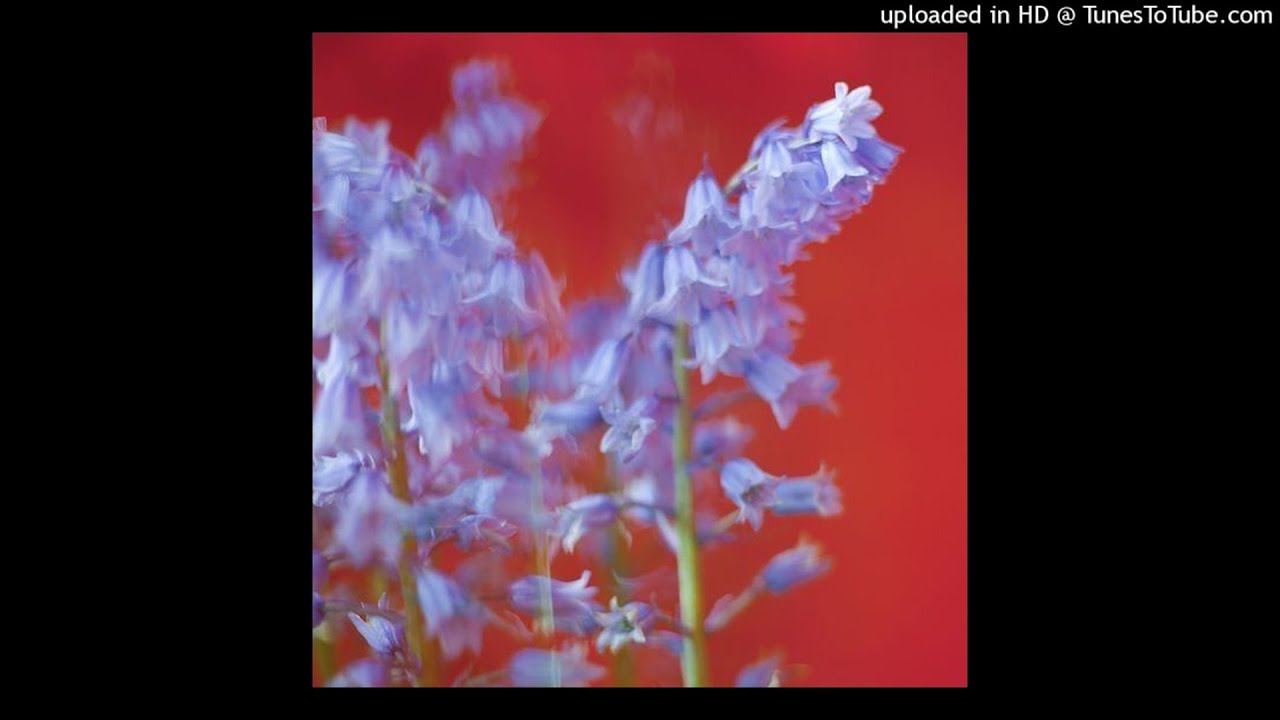 [free for profit] ambient + experimental type beat "feel like"