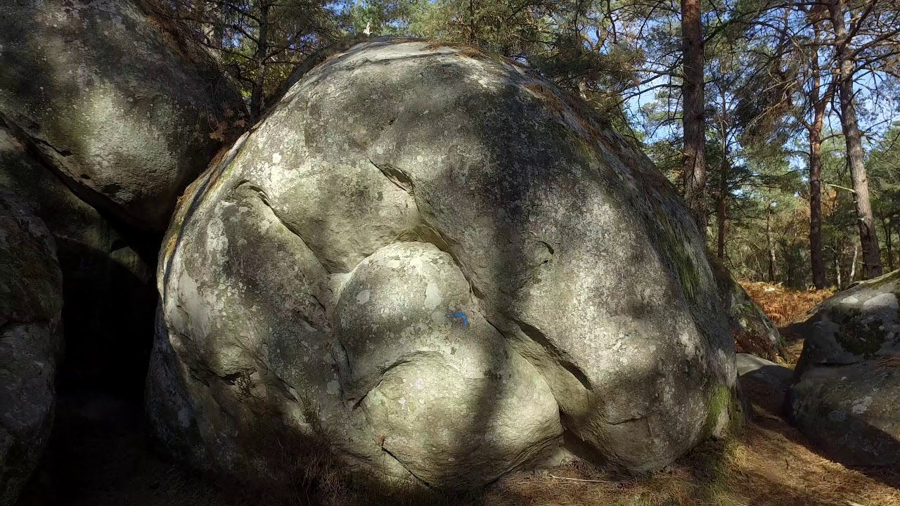 Randonnée en forêt de Fontainebleau sur le sentier n°4  dans le Rocher Saint-Germain   #randonnees