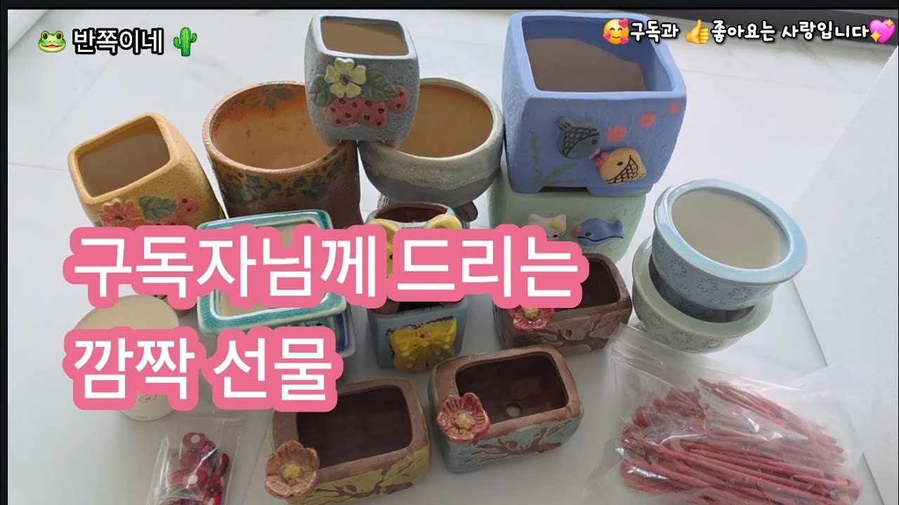 구독자님께 드리는 깜짝 선물포장 신나 신나