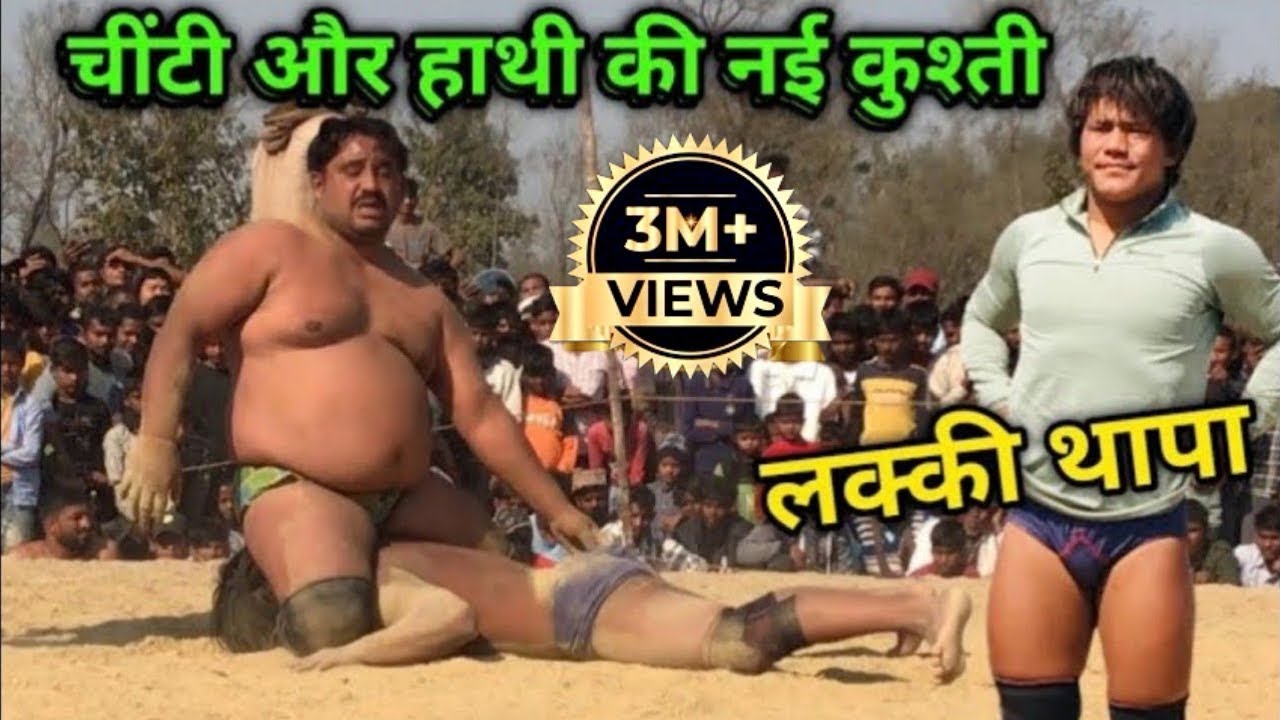 चींटी और हाथी की नई कुश्ती | lucky thapa ki new kushti | dynamic dangal