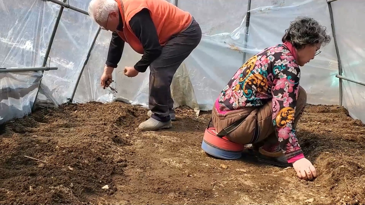 Наступила весна, поэтому в огороде и на кухне кипит работа (корейская сельская местность).