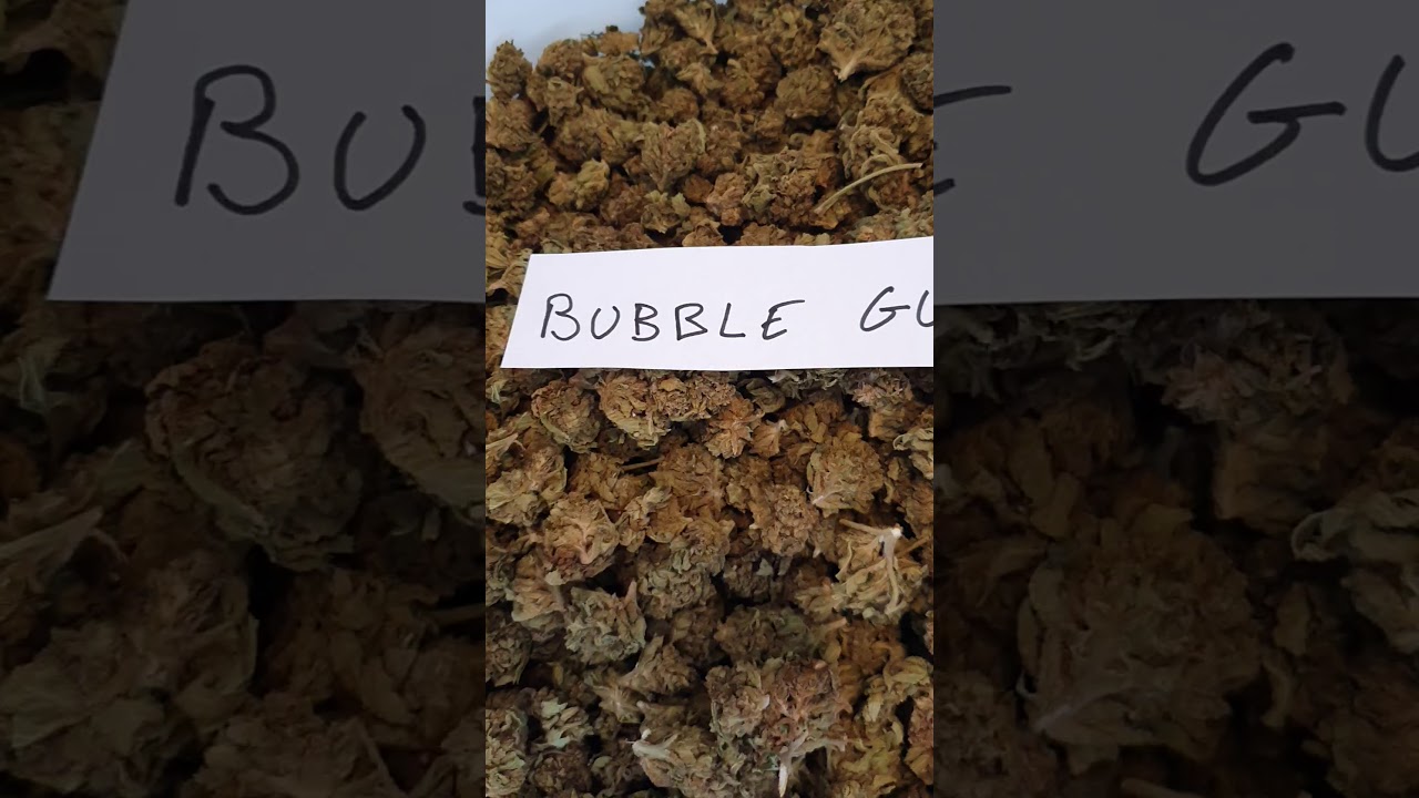 Fleur de CBD le top du top