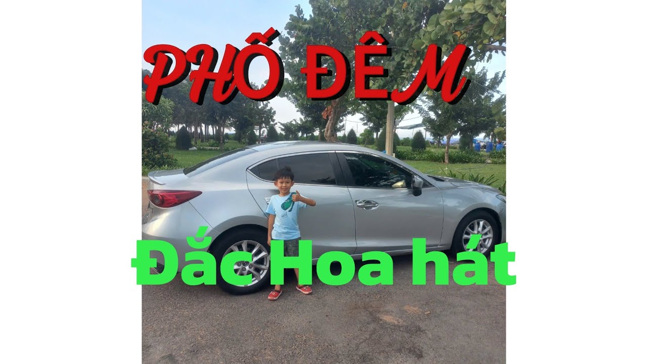 PHỐ ĐÊM. ĐẮC HOA HÁT. MỜI CÁC BẠN NGHE CHO VUI.