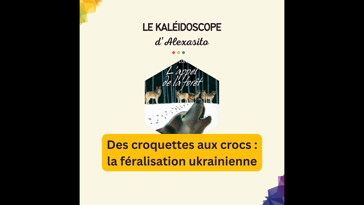Des croquettes aux crocs : la féralisation ukrainienne