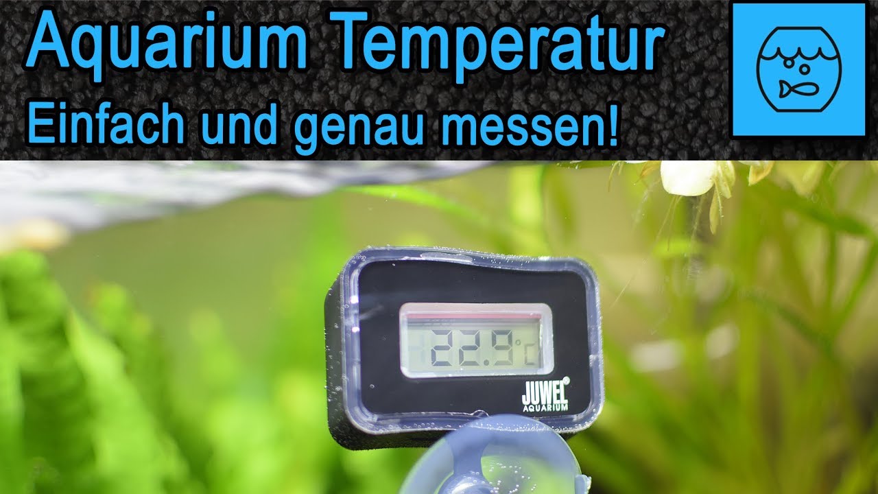 Aquarium Wassertemperatur einfach und genau messen - Juwel Digitales Thermometer 2.0 -  Unboxing