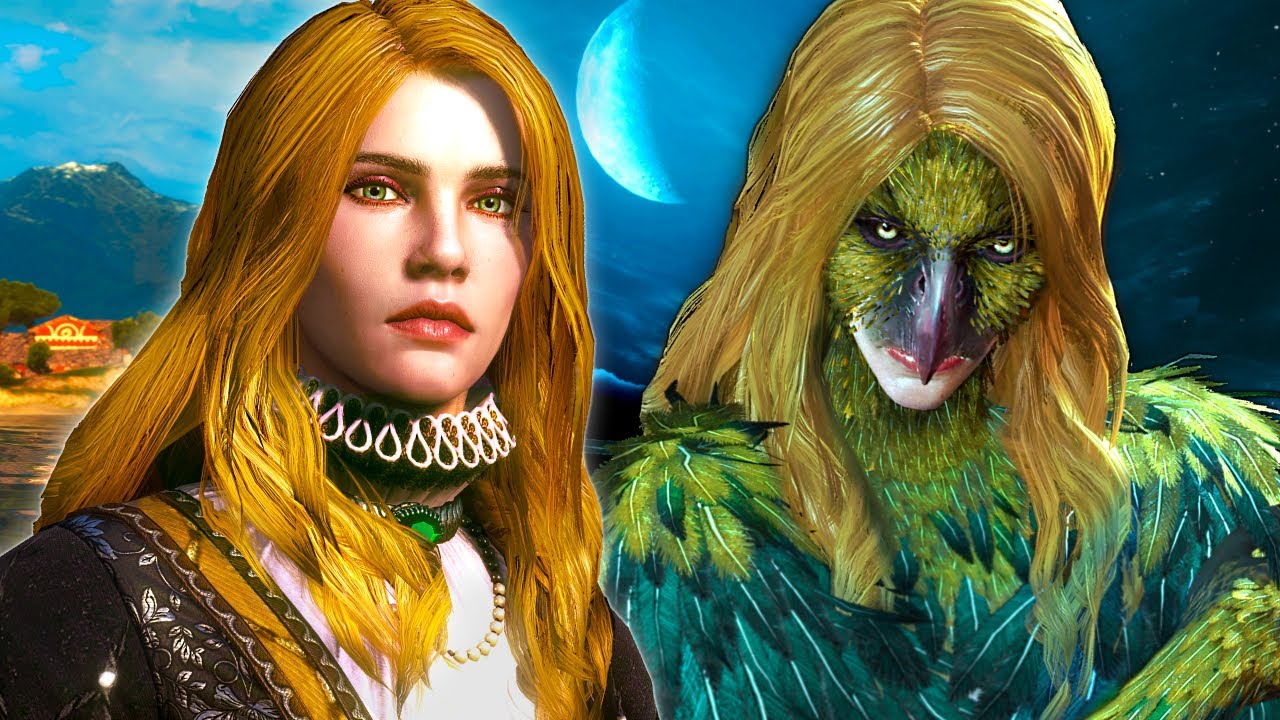 So... I'm Searching for The Last Secret of the Witcher 3