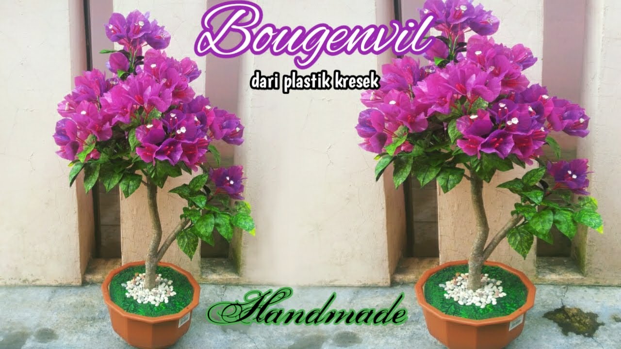 Bonsai bougenville dari plastik kresek