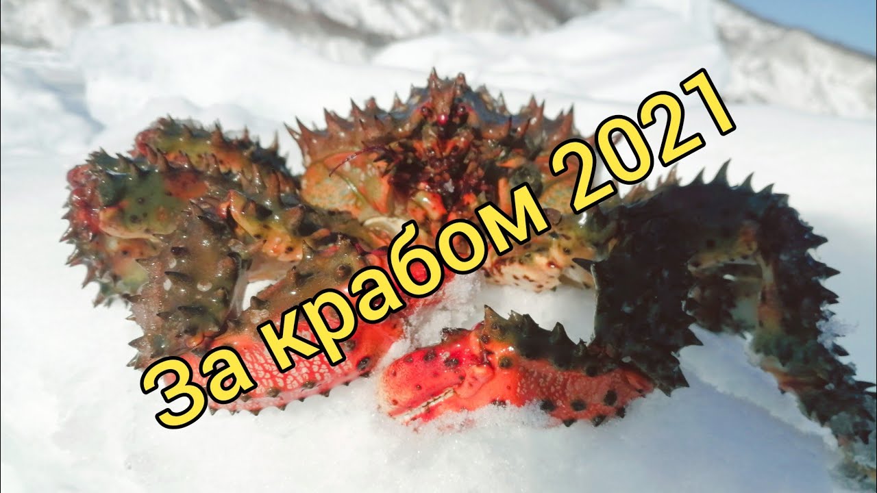 За КРАБОМ / Ловля КРАБА на Сахалине. Крабалка / Сахалинская рыбалка & Sakhalin fishing