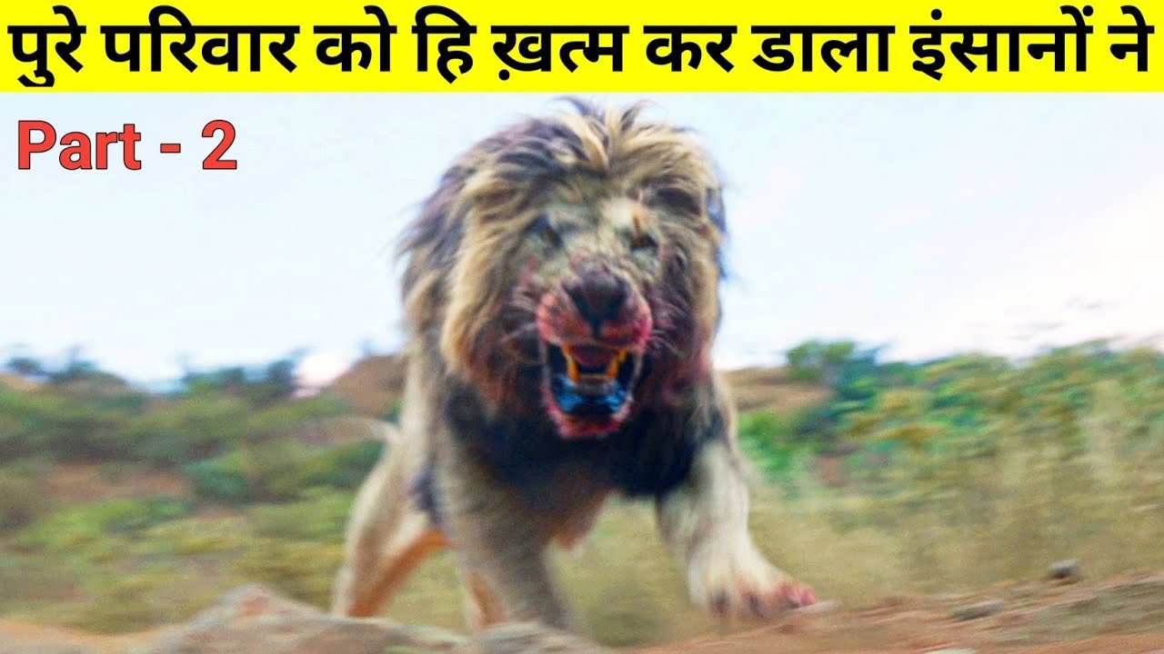पुरे National park में शुरू हो जाता है मौत का सिलसिला । The True Story Of Lions |