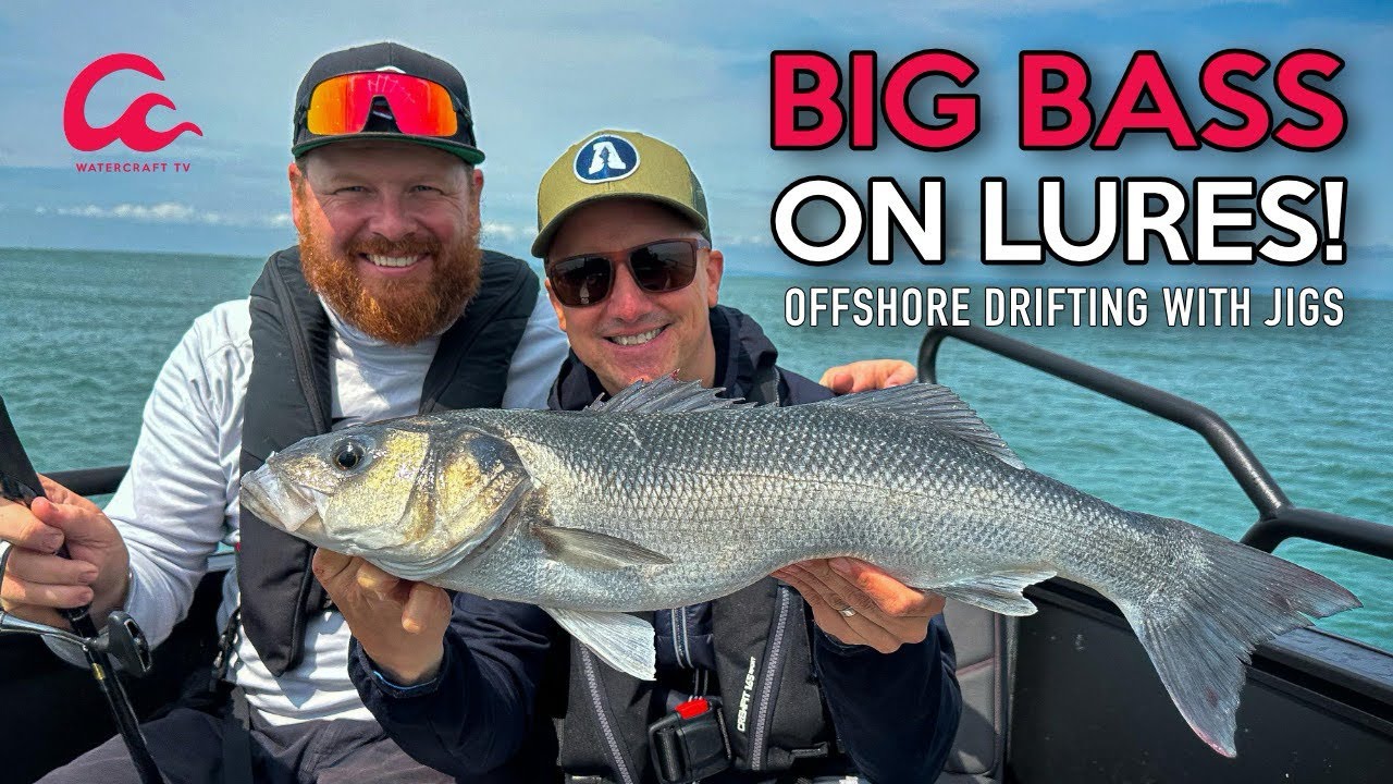 Lure Fishing for Big UK Sea Bass - Offshore jigging on light rods!