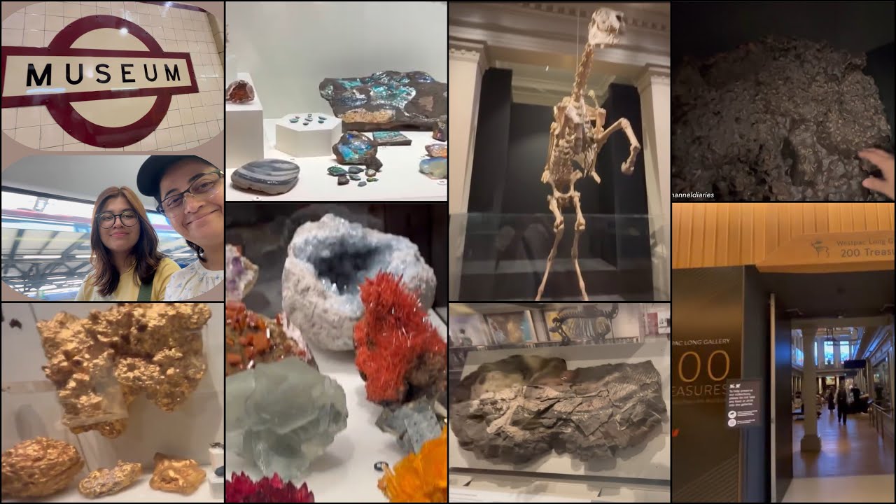 🇦🇺 Australian Museum in Sydney 