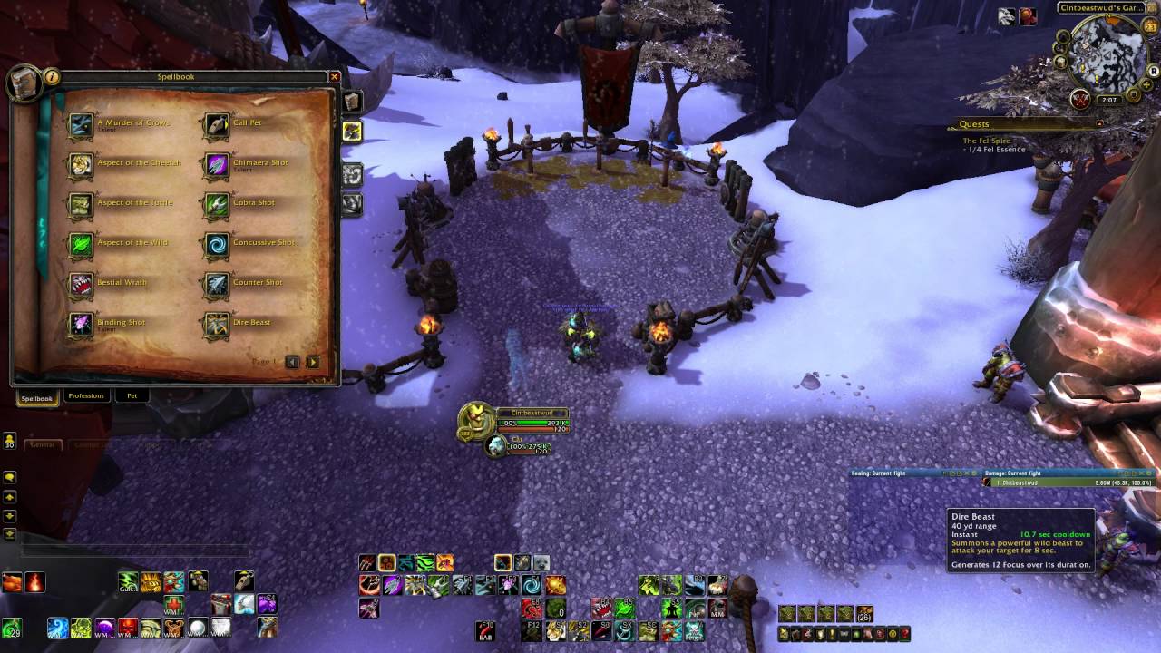 Beast Mastery PvE/Raid DPS Guide 7.0.3