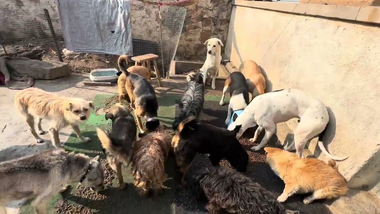 救助贵在坚持