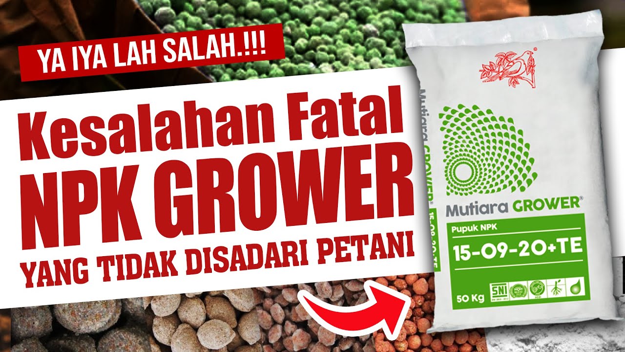 YA IYA LAH SALAH .❗❗❗ KESALAHAN FATAL NPK GROWER YANG TIDAK DISADARI PETANI