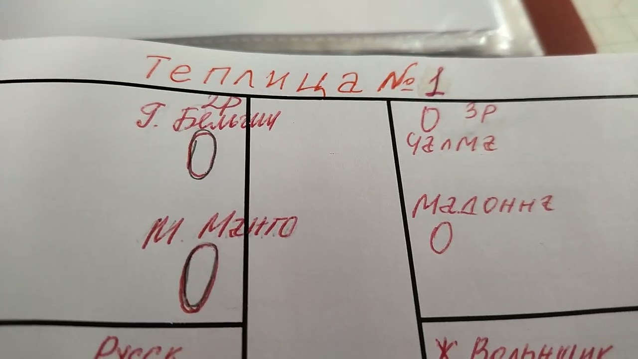 Томаты на сезон 2026 в первой
