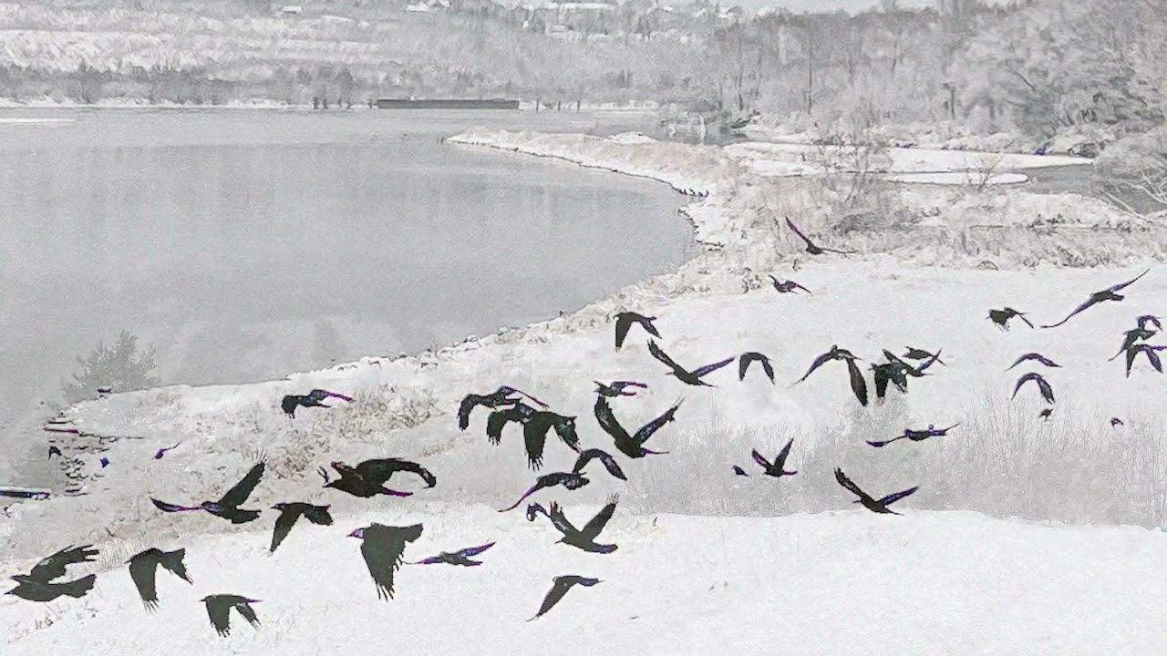 Kinga Rataj - Czekając na cud