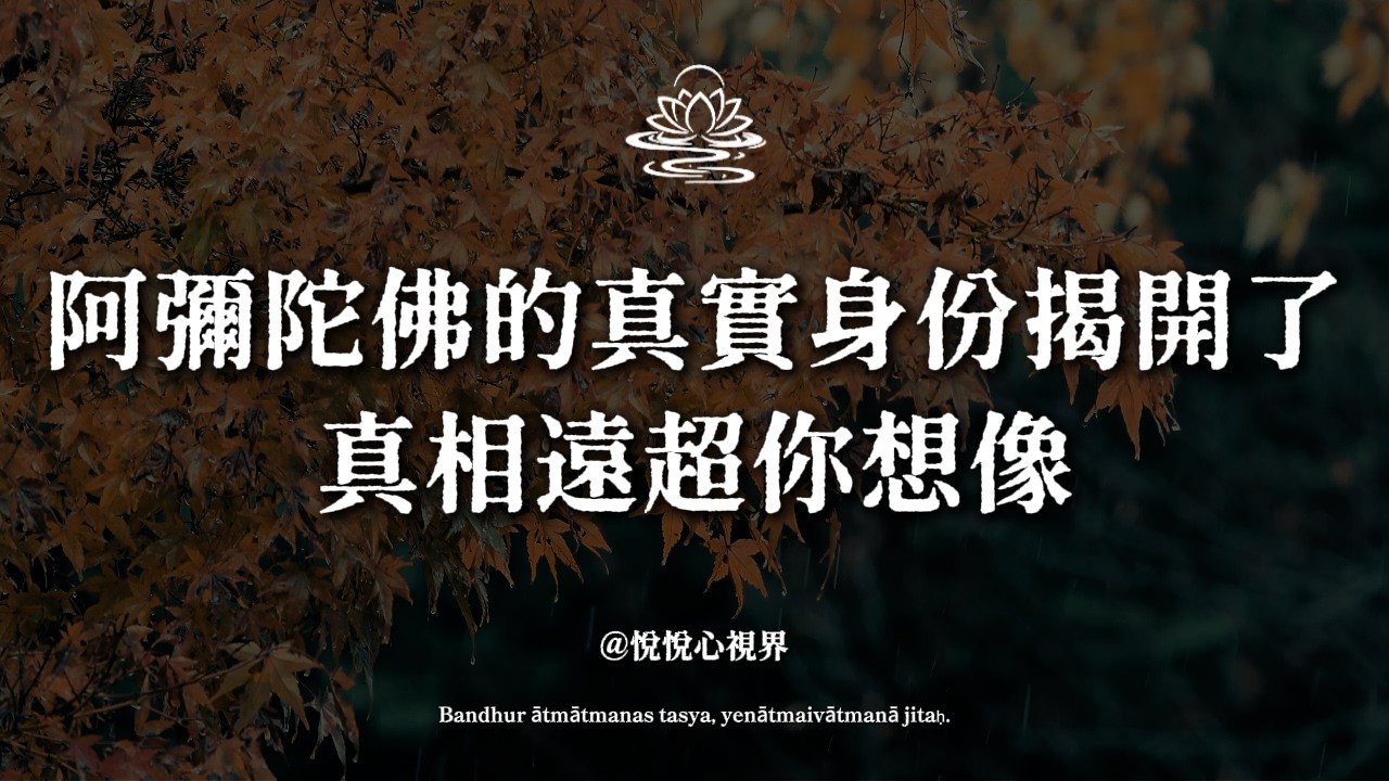 你念了一輩子阿彌陀佛，卻從來不知道他是誰｜真相遠超你想像#阿彌陀佛 #念佛 #佛號的意義 #無量光無量壽#法身報身化身 #自性即佛 #佛學智慧 #淨土法門#極樂世界 #六祖慧能