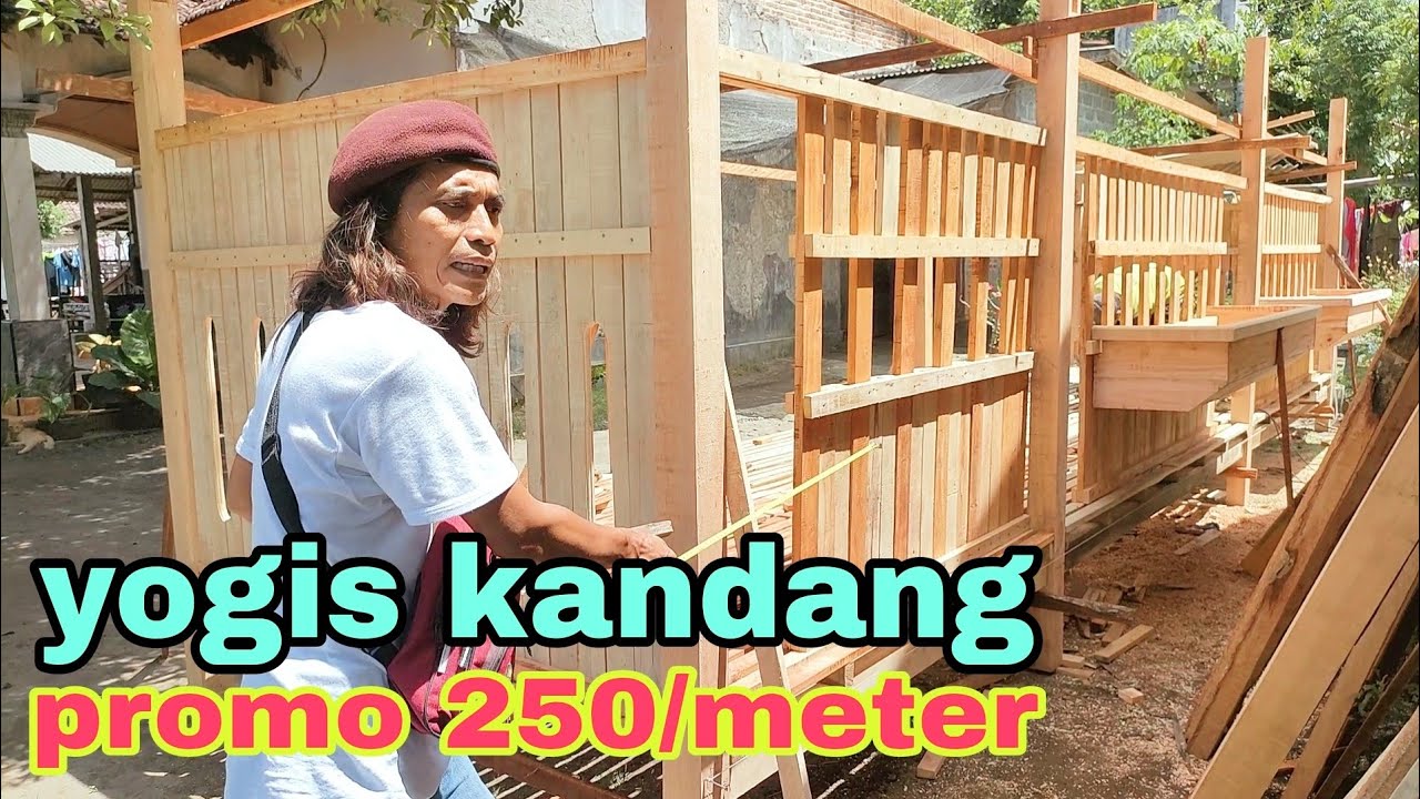 250rb/meter- promo tak masuk akal dari yogis kandang 😯
