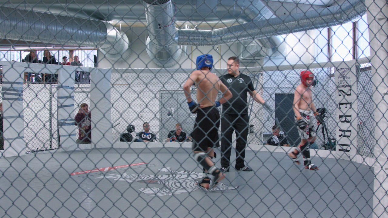 22.4.2017 MMA HardKnocks 1 . Male, B Junior, - 61.2 kg