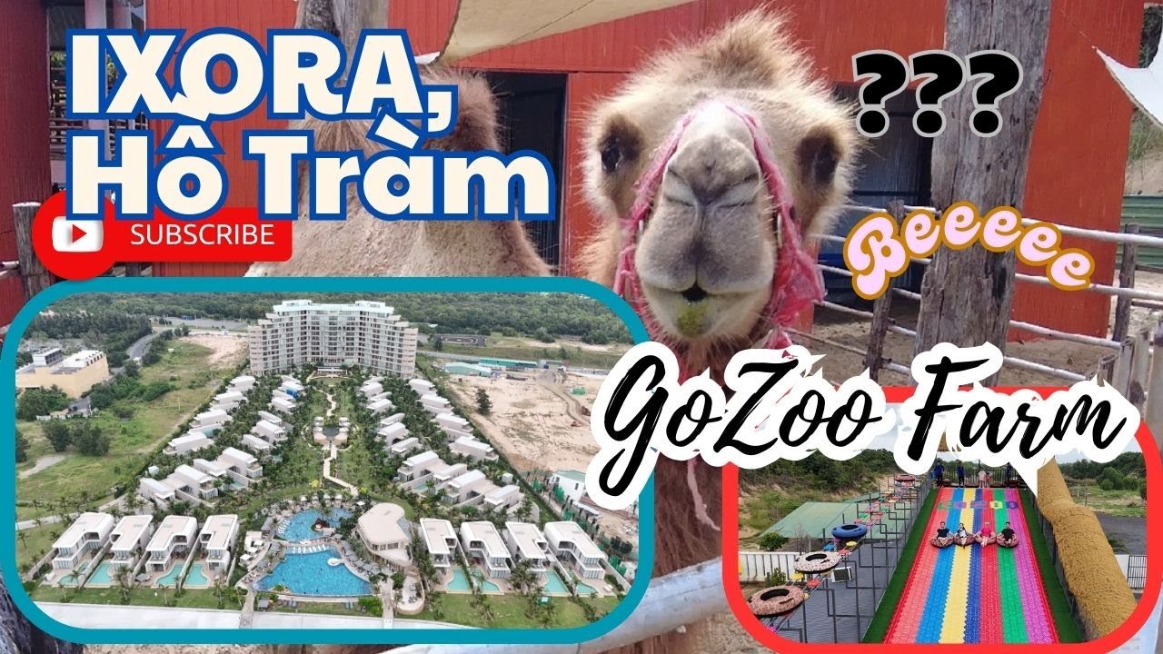 [Hồ Tràm] Trải nghiệm Ixora Ho Tram By Fusion và Vườn thú GoZoo