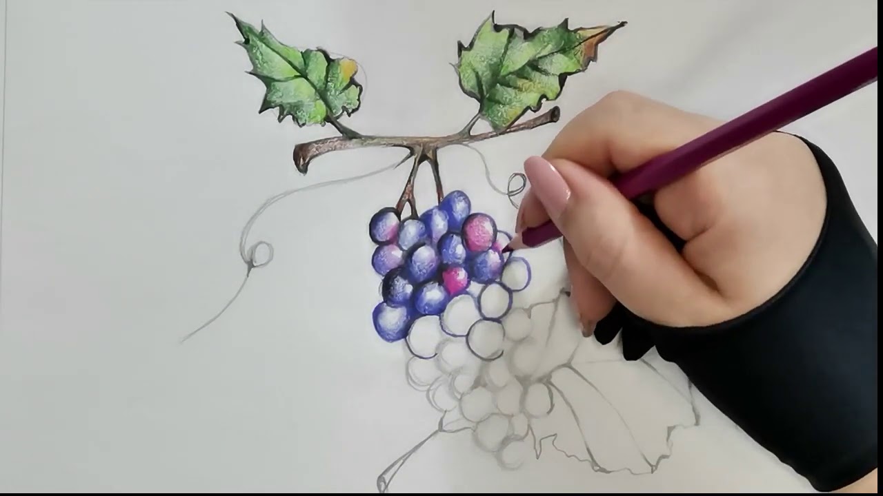 Come disegnare e colorare  un grappolo d'uva Tutorial By Ary