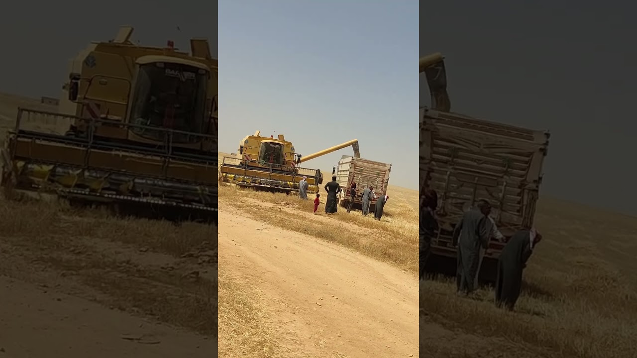 ماشاء الله تبارك الرحمان حصادات البيسريان تبارك الرحمان نسمة وابسمة 🦅🖤👑